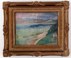 Olgyay Ferenc (1872-1939): Dunai látkép. Olaj, fa lemez, jelzett, üvegezett keretben, 20×27 cm