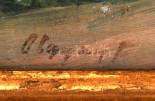 Olgyay Ferenc (1872-1939): Dunai látkép. Olaj, fa lemez, jelzett, üvegezett keretben, 20×27 cm