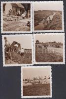 Ráckeve, Dömsöd, földmunkák, 5 db fotó, 6x6 cm