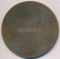 DN "Győr - Szent László király" Br emlékérem ÁPV tokban (60mm) T:2