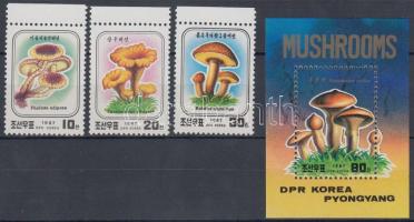 Gombák sor + blokk Mushrooms set + block