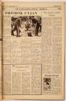 1980 A Népsport, az Országos Testnevelési és Sporthivatal Lapjának számai könyvebe kötve, benne olim...