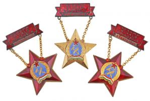 ~1950. "Szakma Kiváló Dolgozója Könnyűipar" zománcozott fém kitüntetés, sorszámozott (3x) T:2