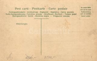 Düsseldorf, Landwirtschaftliche Ausstellung, Kaiser-Paar / agricultural expo, Kaiser Wilhelm II, Aug...