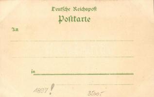 1897 Hamburg, Allgemeine Gartenbau Ausstellung; Kunstanstalt Rosenblatt / Gardening Expo litho