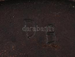 DB jelzéssel Mátyás fali kép, festett fém, d:19 cm