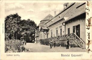 Kakucs, Liebner kastély, kiadja Blau Mór (EK)