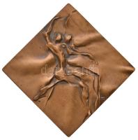 Lengyelország 1985. "200 éves a Lengyel Balett Találkozó Lódz" Br emlékplakett eredeti dísztokban (60mm) T:1-,2 Poland 1985. "200th Anniversary of the Polish Ballet Meeting" Br commemorative plaque in original case (60mm) C:AU,XF