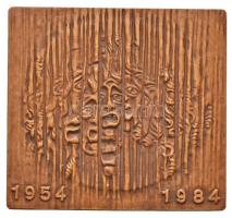 Lengyelország 1984. "30 éves a Lódz-i Opera / 1954-1984" Br emlékplakett eredeti dísztokba...