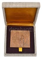 Lengyelország 1984. "30 éves a Lódz-i Opera / 1954-1984" Br emlékplakett eredeti dísztokba...