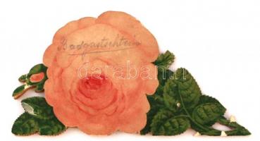 cca 1860 Bad Gastein és környéke litho képekkel illusztrált, kihajtható levél formájú üdvözlőlap, eg...