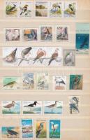 Birds 28 stamps with sets and units Madár motívum 28 db bélyeg, közte teljes sorok és összefüggések
