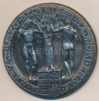 Göröntsér Greff Lajos (1888-1976) 1920. "A Magyar Úszó-Szövetség Bajnoki Érme / 1948. II." fém díjérem (50mm) T:2