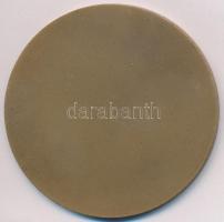 ~1980. "Jáki templom" Br emlékérem (60mm) T:1-