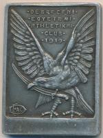 1919. Debreceni Egyetemi Athletikai Club 1919 Al emlékérem (40x30mm) T:2