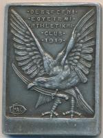 1919. &quot;Debreceni Egyetemi Athletikai Club 1919&quot; Al emlékérem (40x30mm) T:2