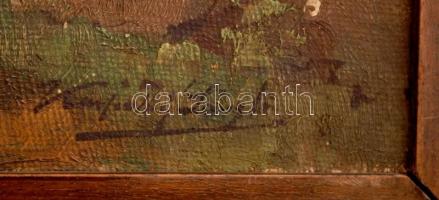 Kárpáthy László (1900-?): Tájkép. Olaj, vászon, jelzett, festék lekopások, antik keretben, 25×35 cm