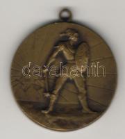 1930-as évek "Bocskai István Reáliskola - Botond-irredenta szimbólum" Br emlékérem T:2