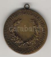 1930-as évek "Bocskai István Reáliskola - Botond-irredenta szimbólum" Br emlékérem T:2