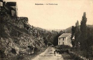 Argenton-sur-Creuse, Le Mouilin Loup / mill