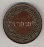 1878. "Tolna megye Gazdasági Egyesülete" Br emlékérem T:2/3 ph