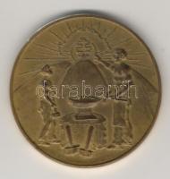 1929. "Bajai Ipartestület-irredenta jelkép" Br emlékérem T:2 kis k.