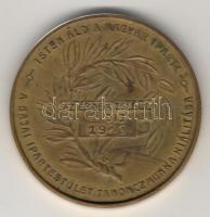 1929. "Bajai Ipartestület-irredenta jelkép" Br emlékérem T:2 kis k