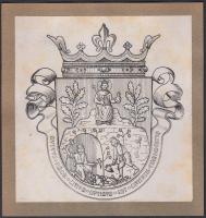 XIV. század vége Nagybánya címere, nyomat, papír kartonra kasírozva, 16x16cm