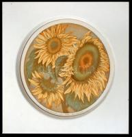 Lunczer Anikó (1942-): Napraforgók. Színes linómetszet, papír, jelzett, keretben, d:27 cm