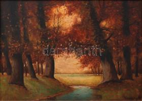 Várallyay jelzéssel: Erdőrészlet. Olaj, vászon, keretben, 50×74 cm