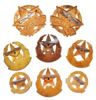 1955-1975. 8db zománcozott díszszemle jelvény, több klf T:2,2-