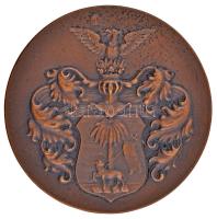 1934. "Stadionavatás 1934. VI. 2-10. Debrecen" Br emlékérem dísztokban (57mm) T:2