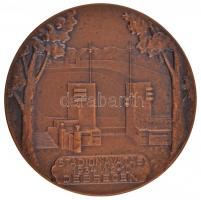 1934. "Stadionavatás 1934. VI. 2-10. Debrecen" Br emlékérem dísztokban (57mm) T:2