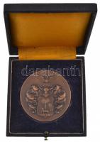 1934. "Stadionavatás 1934. VI. 2-10. Debrecen" Br emlékérem dísztokban (57mm) T:2