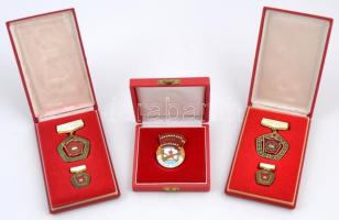 ~1970. "MHSZ eredményes munkáért" zománcozott jelvény eredeti dísztokban + "A Vállala...