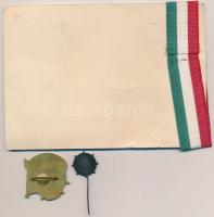 1960. "MESZ (Magyar Evezős Szövetség) Ifj." zománcozott fém jelvény oklevéllel + "MHD...