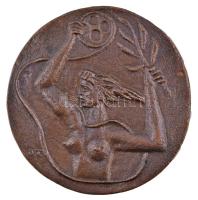 Duray Tibor (1912-1988) 1950. "Film" Br emlékplakett nem hozzávaló tokban (50mm) T:2-