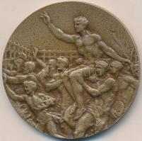 Finnország 1952. "XV. nyári olimpiai játékok Helsinki" Br emlékérem (49,5mm) T:2
Finnland ...