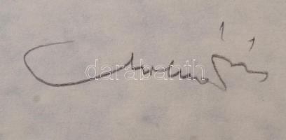 Molnár Dénes (1947-2000): Aktok, album, 8 db fametszettel, sorszámozott: 129/200, jelzett,  42x30 cm