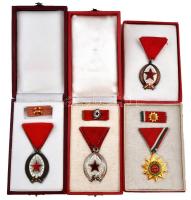 1964. "Munka Érdemrend" ezüst fokozata, ezüstözött és zománcozott Br kitüntetés mellszalagon, miniatűrrel szalagsávon, tokban + "Munka Érdemrend" bronz fokozata, zománcozott Br kitüntetés mellszalagon, nem hozzávaló szalagsávval és miniatűrrel tokban + 1970. "Felszabadulási Jubileumi Emlékérem" aranyozott, zománcozott Br kitüntetés mellszalagon, miniatűrrel szalagsávon, nem saját tokban + 1985. "Munka Érdemrend" bronz fokozata, zománcozott Br kitüntetés mellszalaggal T:2,2-