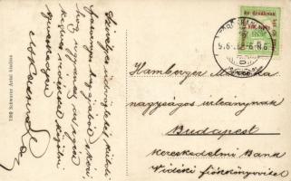 Törökkanizsa, Novi Knezevac. Tallián Emil út, Schwartz Antal kereskedése; saját kiadása / street wit...