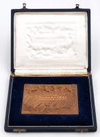 1925. "Magyar Testnevelési Főiskola 1925" Br emlékplakett sérült dísztokban (107x74mm) T:2