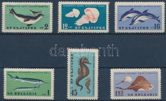 Vízi állatok sor Aquatic animals set