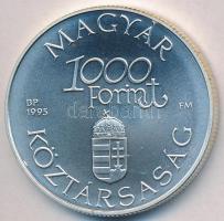 1995. 1000Ft Ag &quot;Régi dunai hajók III - Hableány&quot; T:BU Adamo EM139