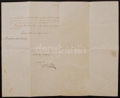 1866 Pest-Pilis-Solt törvényileg egyesített vármegye főispáni helytartójának magyar nyelvű levele Se...