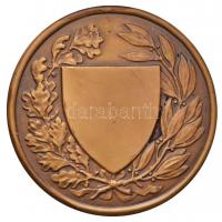 Berán Lajos (1882-1943) 1926. "Országos Testnevelési Tanács" Br érem eredeti dísztokban (6...