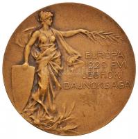 1929. "Európa 1929. évi Jéghoki Bajnokság / Budapesti Korcsolyázó Egylet 1869-1929" Br emlékérem. Szign.: Huguenin (50mm) T:2 Hungary 1929. "Ice Hockey European Championships 1929 / Skating Club of Budapest 1869-1929" Br medallion. Sign.: Huguenin (50mm) C:XF