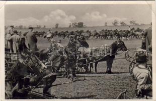Kecskemét-Bugac Rossherde (fa)