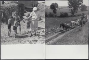 cca 1933 Cséplés gőzgép meghajtással, 4 db fotó, korabeli negatívról későbbi nagyítások, 13x13 és 18x13 cm