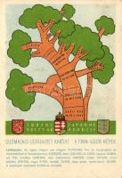 A finnugor népek; a Sugurahvaste Instituut kiadása / Finno-Ugric language family